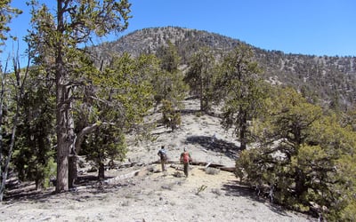 Hayford Peak